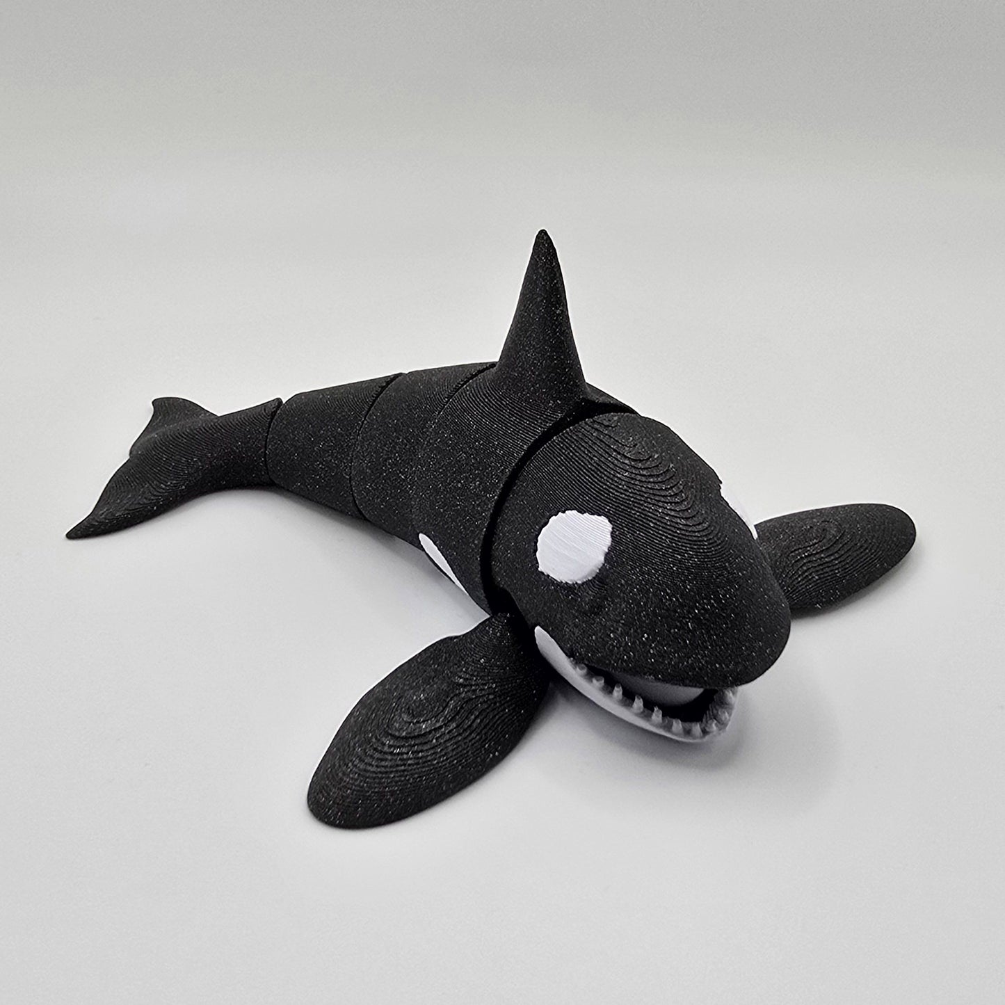 Killer Whale