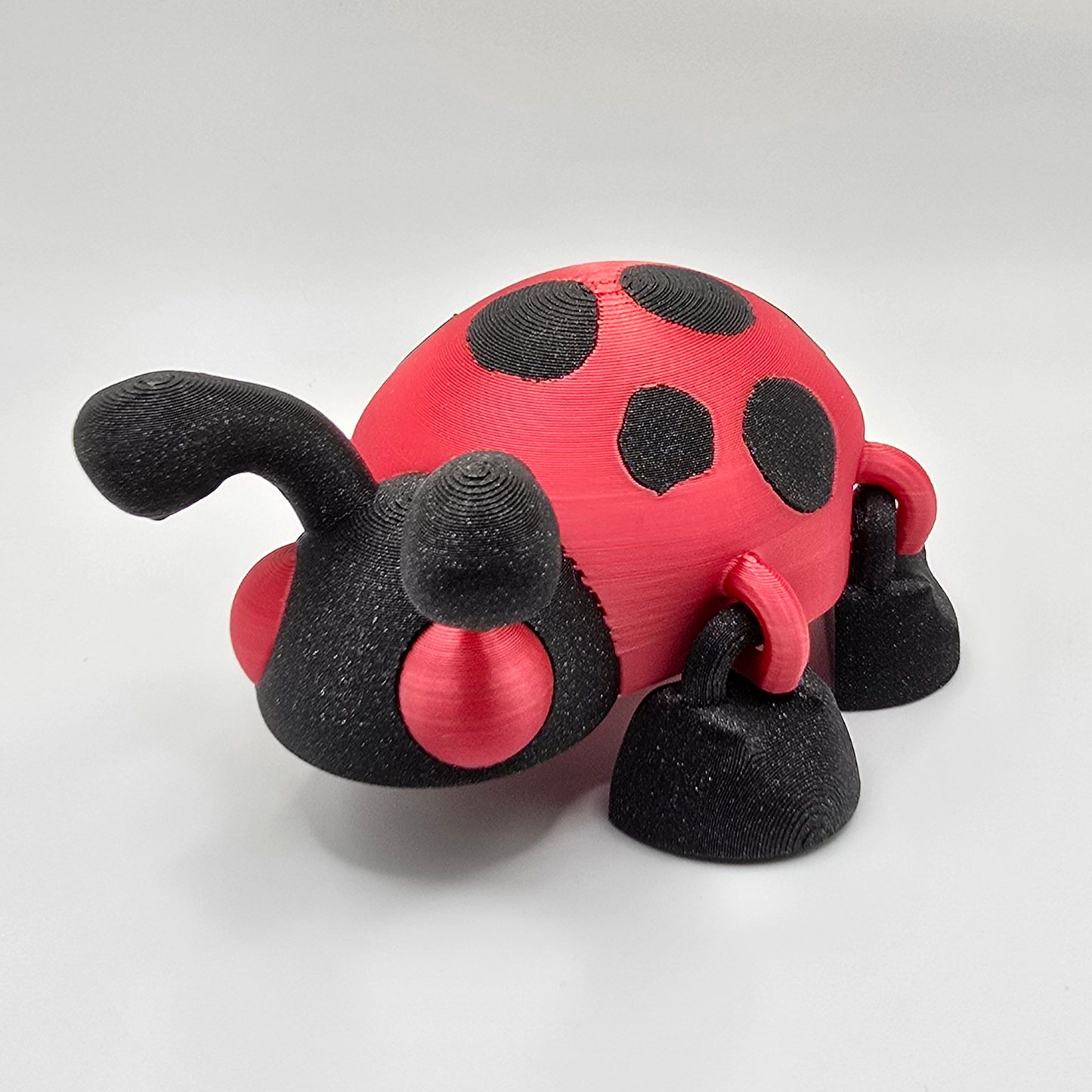 Ladybug