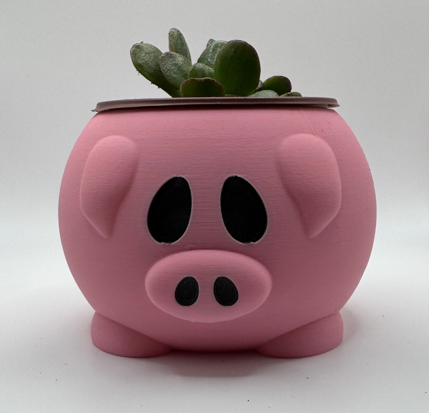 Animal Pot