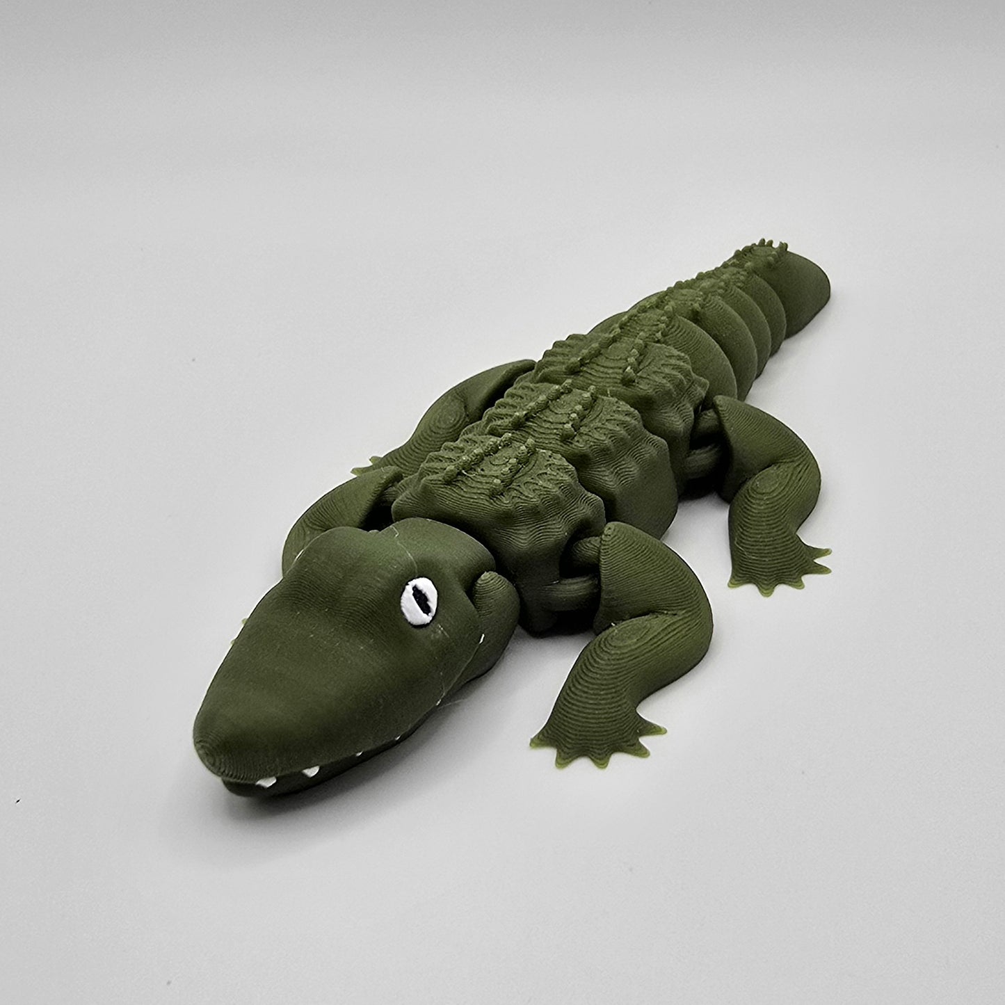 Alligator