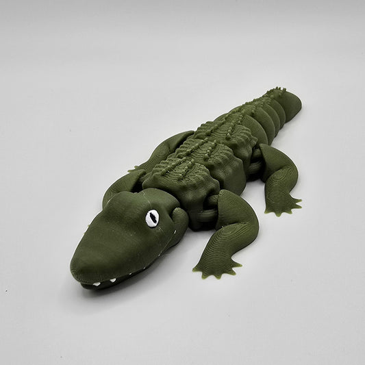 Alligator
