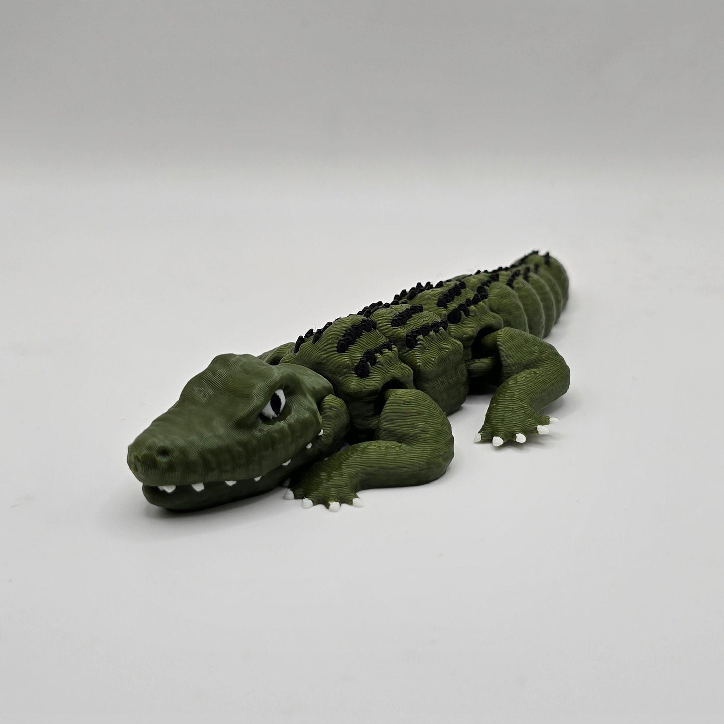 Alligator