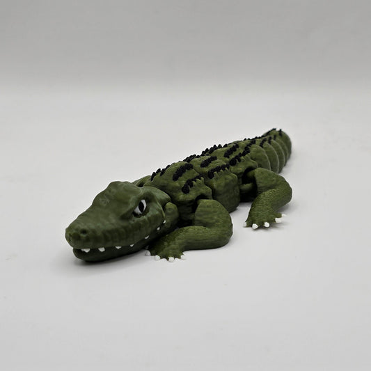 Alligator