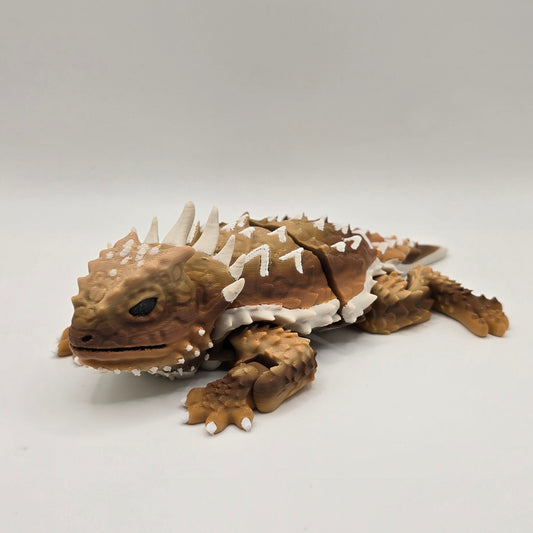 Horned Lizard